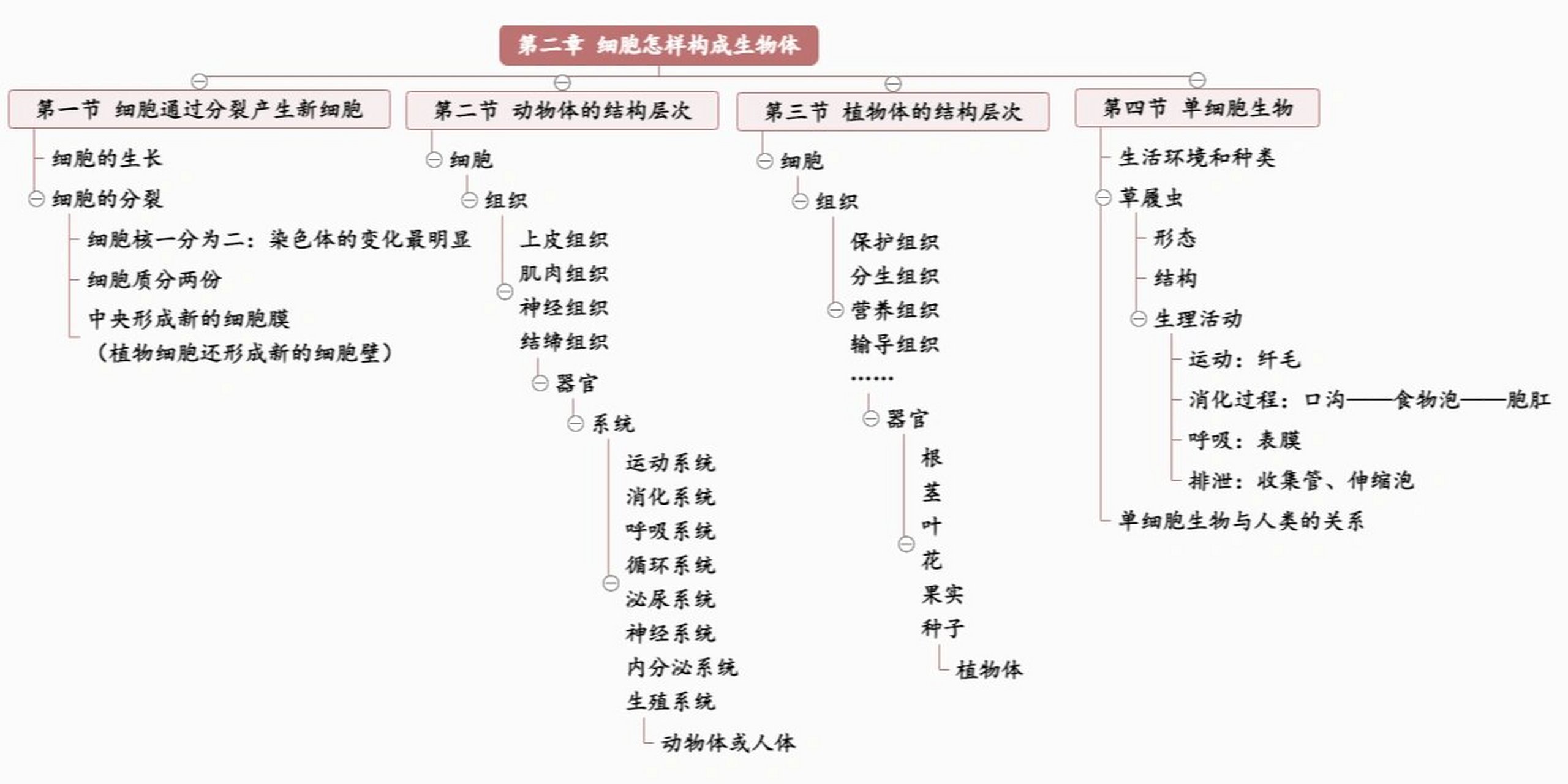 七年级生物上册思维导图(2) 第二单元生物体的结构层次