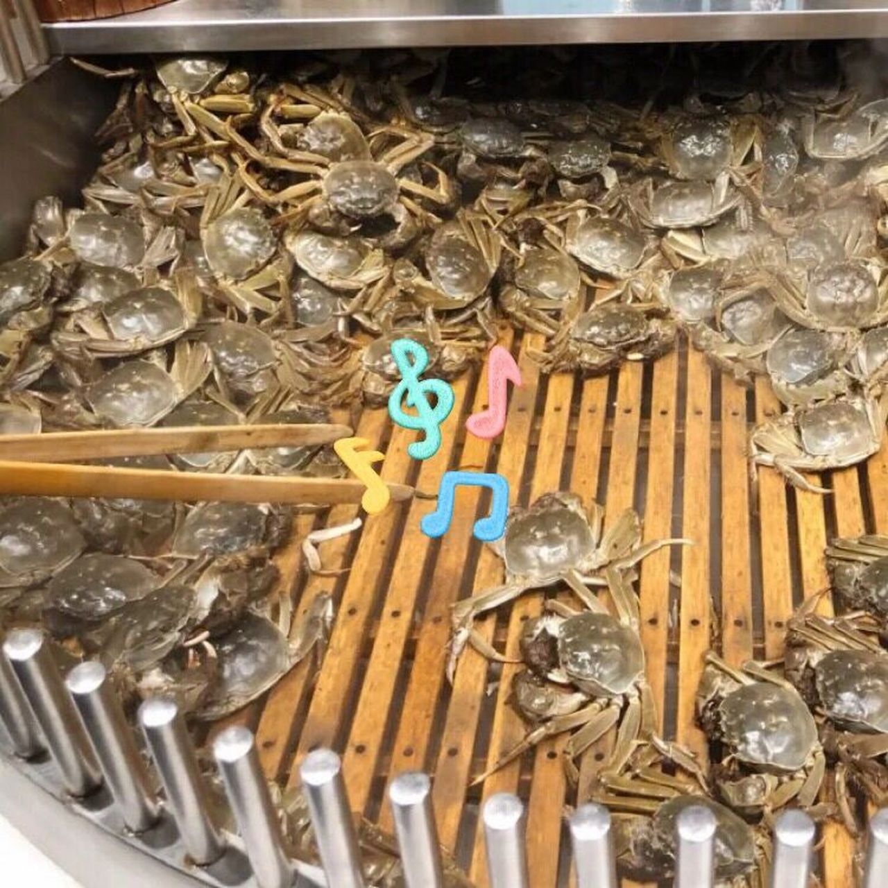 初色海鲜自助火锅(朝阳北路店) 我才知道原来海星是可以吃的,对比了