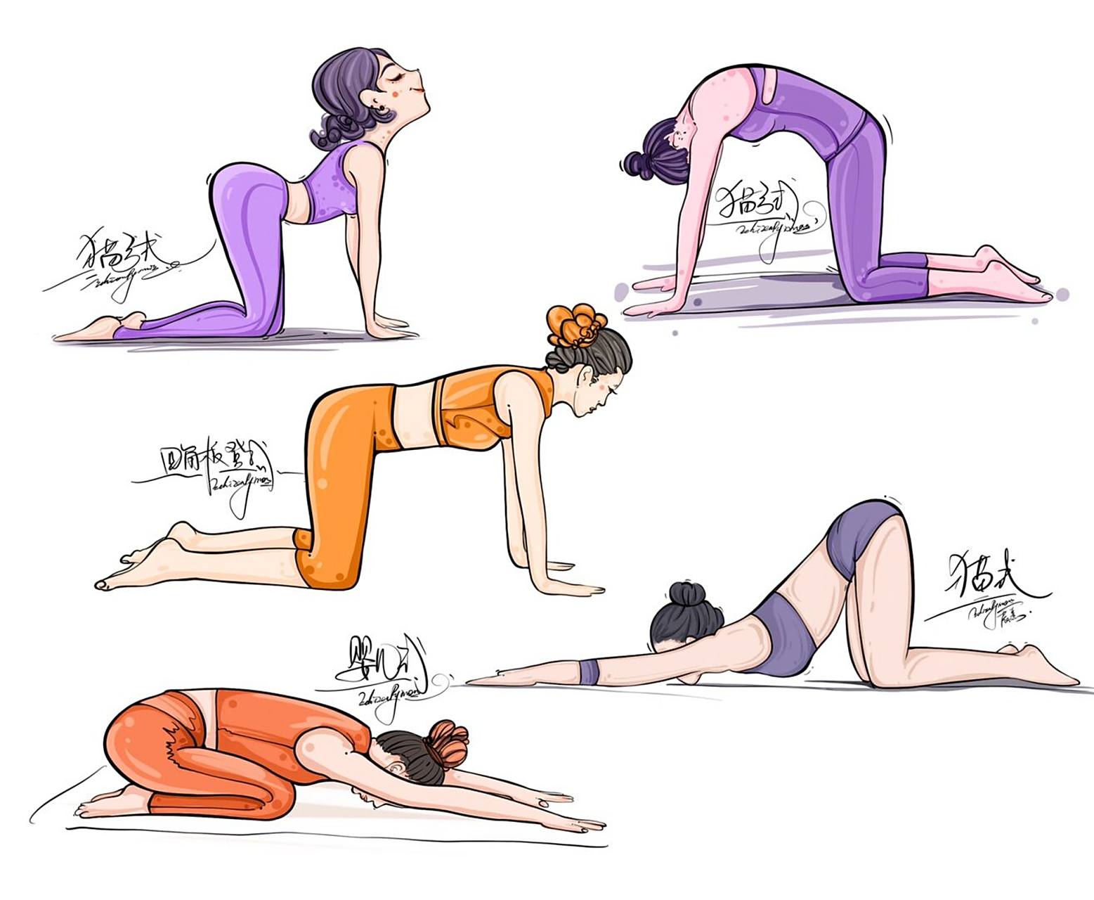 瑜伽～肩脊背修复体式 #手绘瑜伽插画# #猫弓式##四角板登##婴儿式