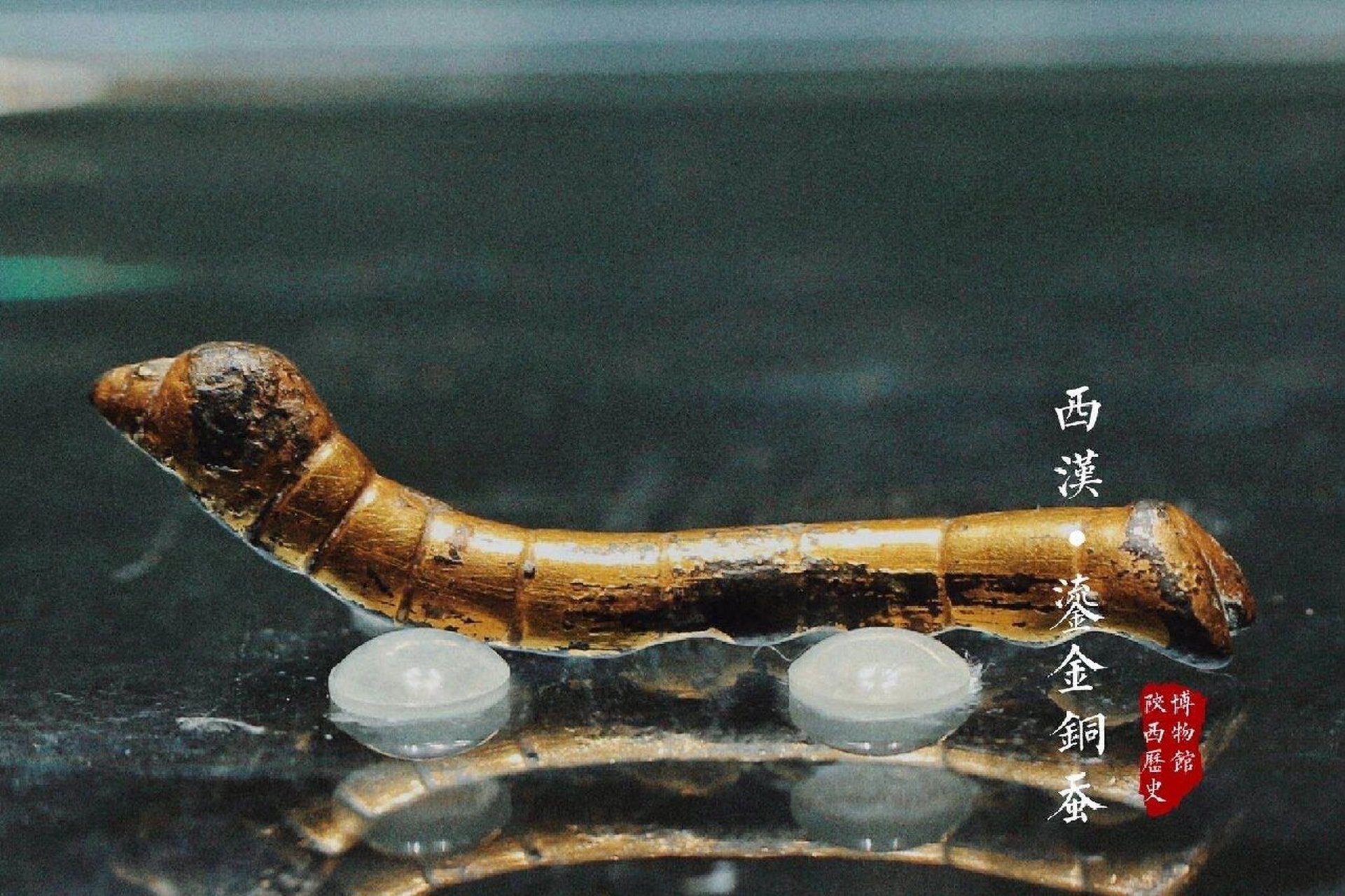 其貌不扬,非比寻常——鎏金铜蚕 95鎏金铜蚕,西汉文物,1984年出土于