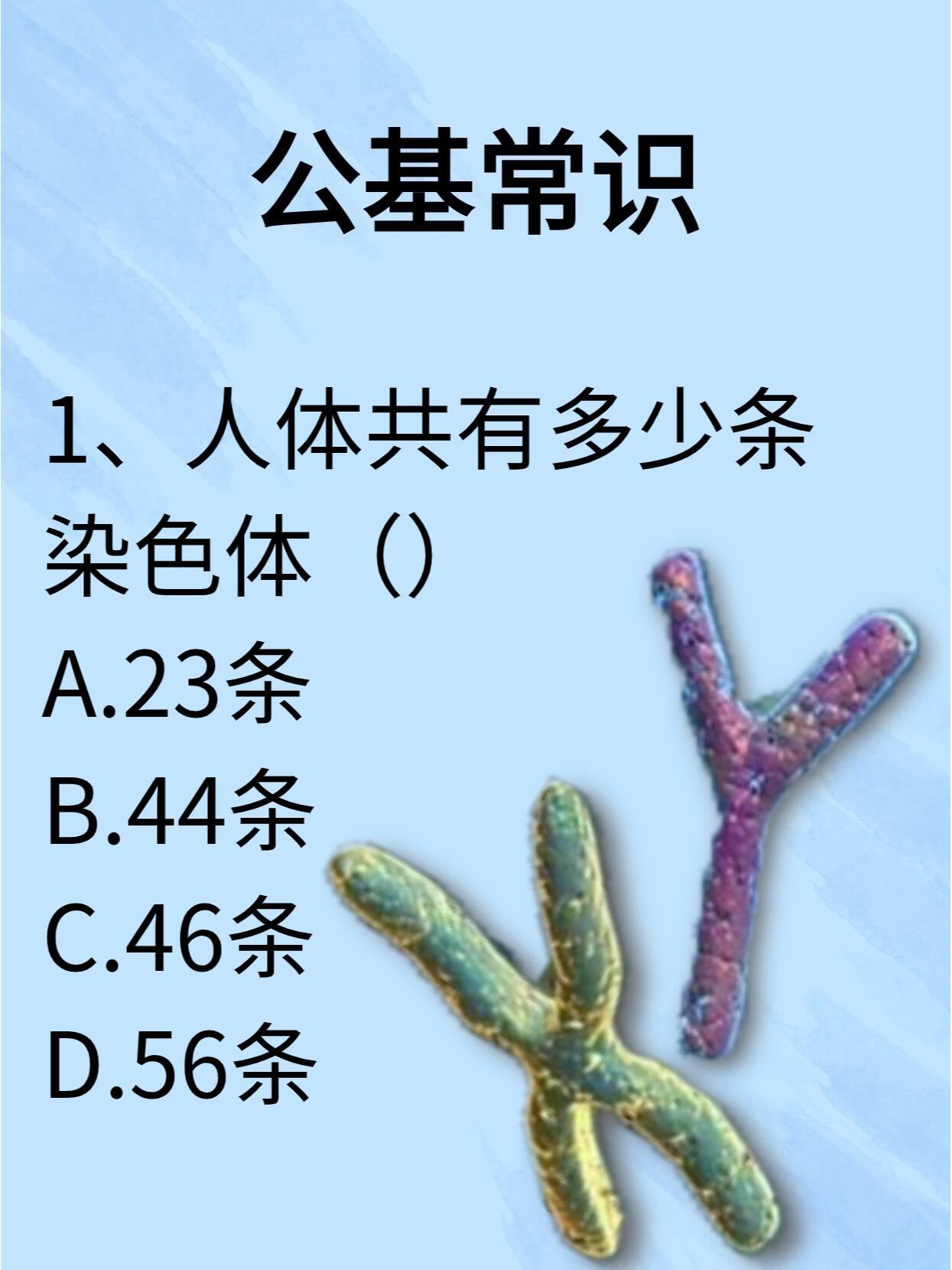 人体共有多少条染色体?