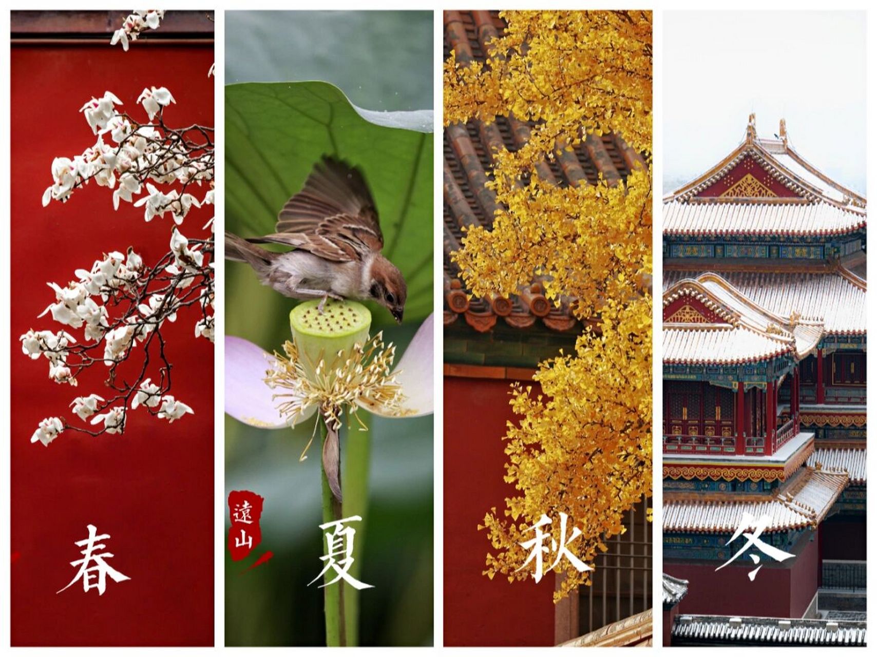 北京的春夏秋冬,用我的相机记录生活.最近工作繁忙,减少了外拍的时间,