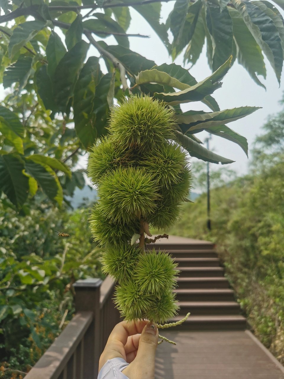 泰安神龙大峡谷 今日打卡泰安神龙大峡谷 67种草此处已经很久了