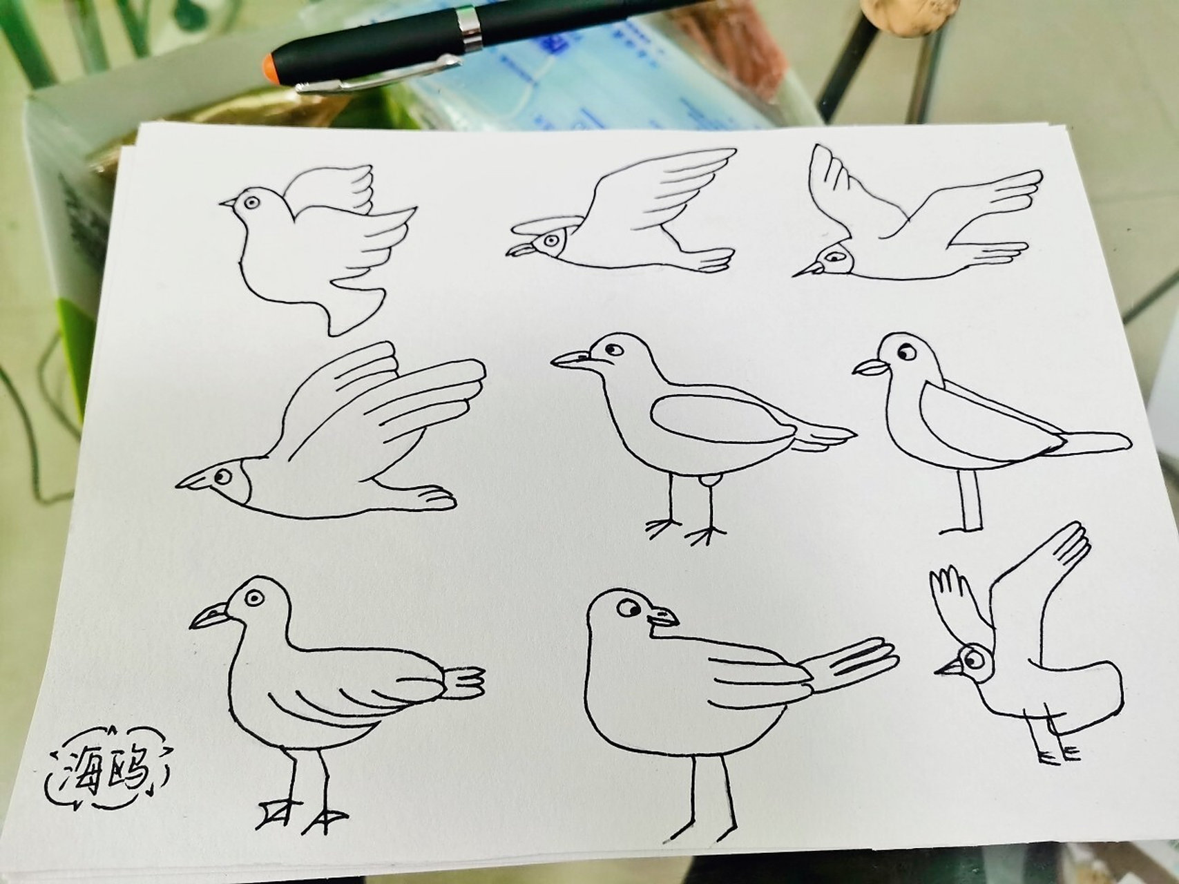 幼师day48---简笔画:海鸥 某只海鸥好像和鸽子有点像9898