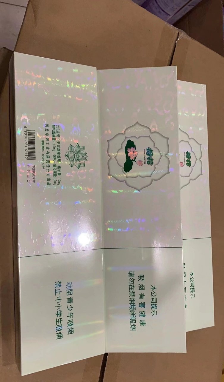 经典中支荷花图片