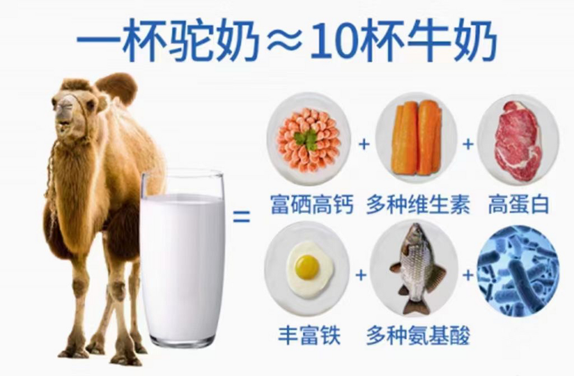 驼奶粉比牛奶粉,羊奶粉的营业价值高吗?