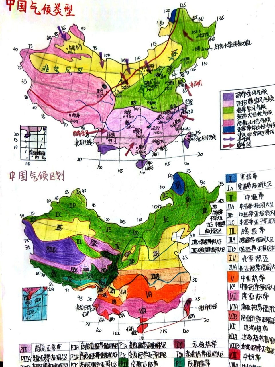 植被类型分布图简图图片