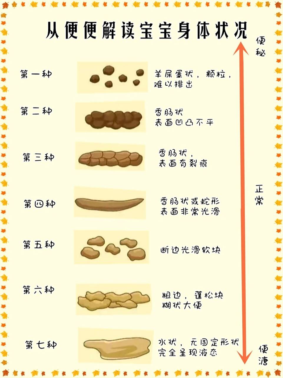 正常大便图形态图片