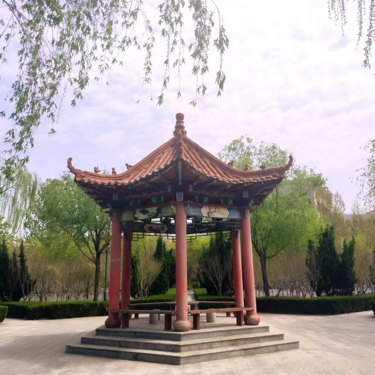 校园随手拍# [兔子]#滨职剪影##滨州职业学院#  人生虽曲折,记得活出
