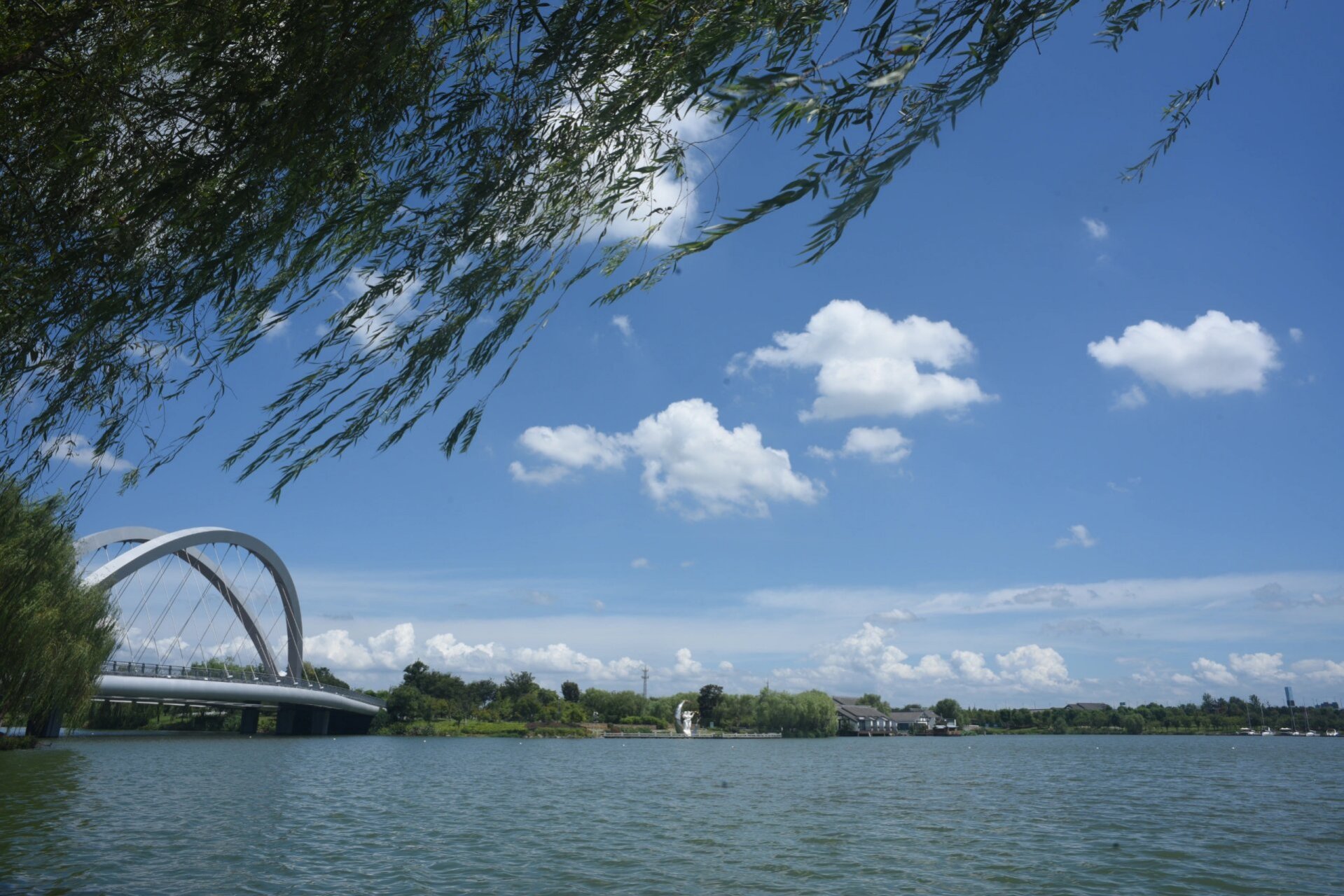 迪荡湖公园,绍兴 秋天,迪荡湖公园适合徒步,有步道,也有园内单车.