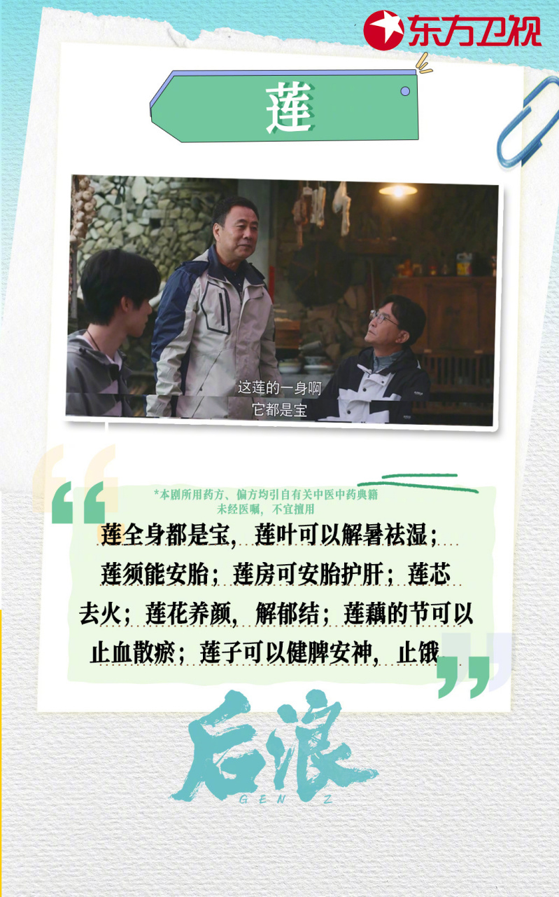 电视剧后浪# 小小食材也有妙用,看看剧中对于艾草,荔枝,莲的讲解啊
