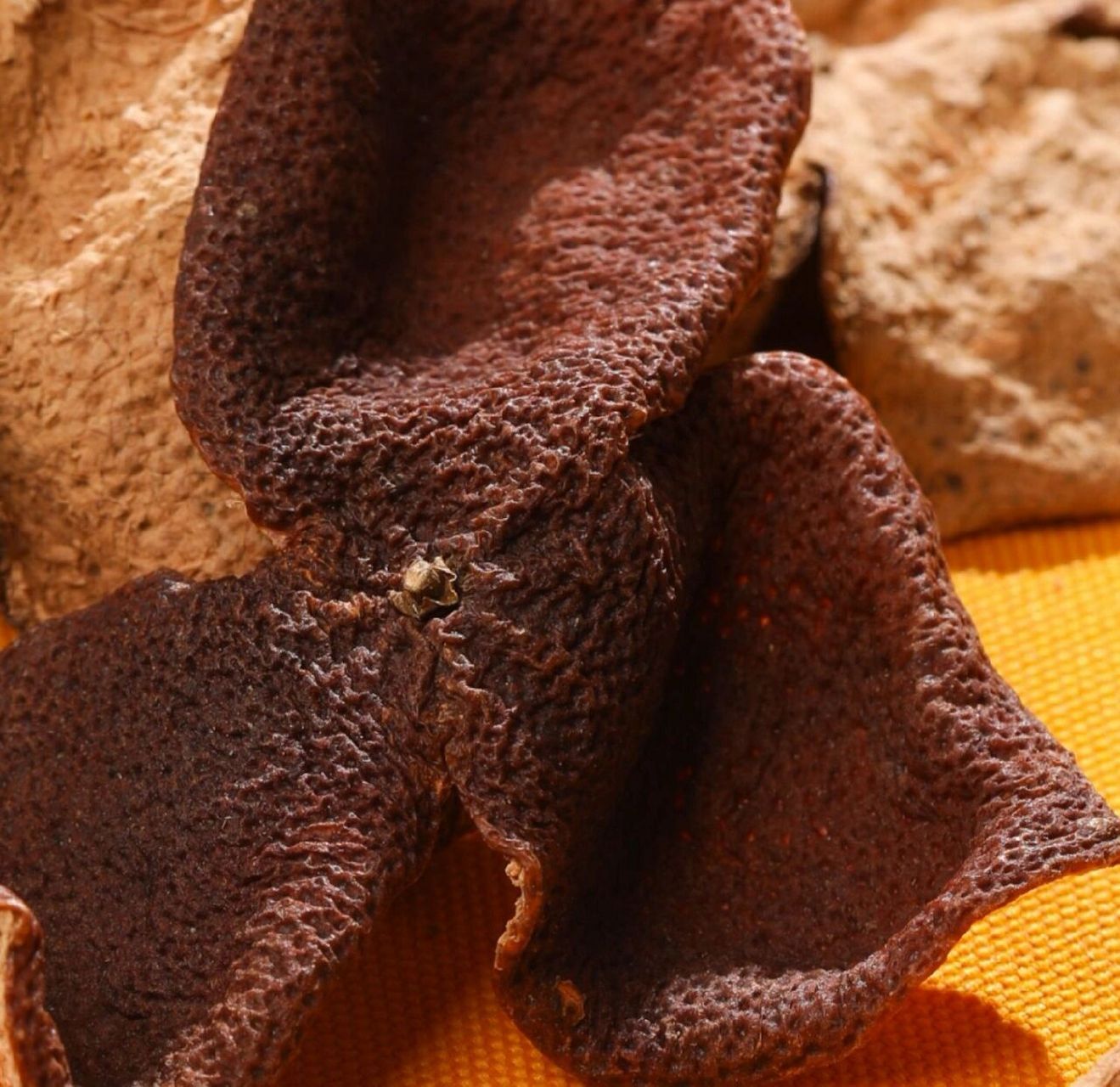 广东新会陈皮——梅江陈皮和天马陈皮的区 正所谓,一方水土养一方人