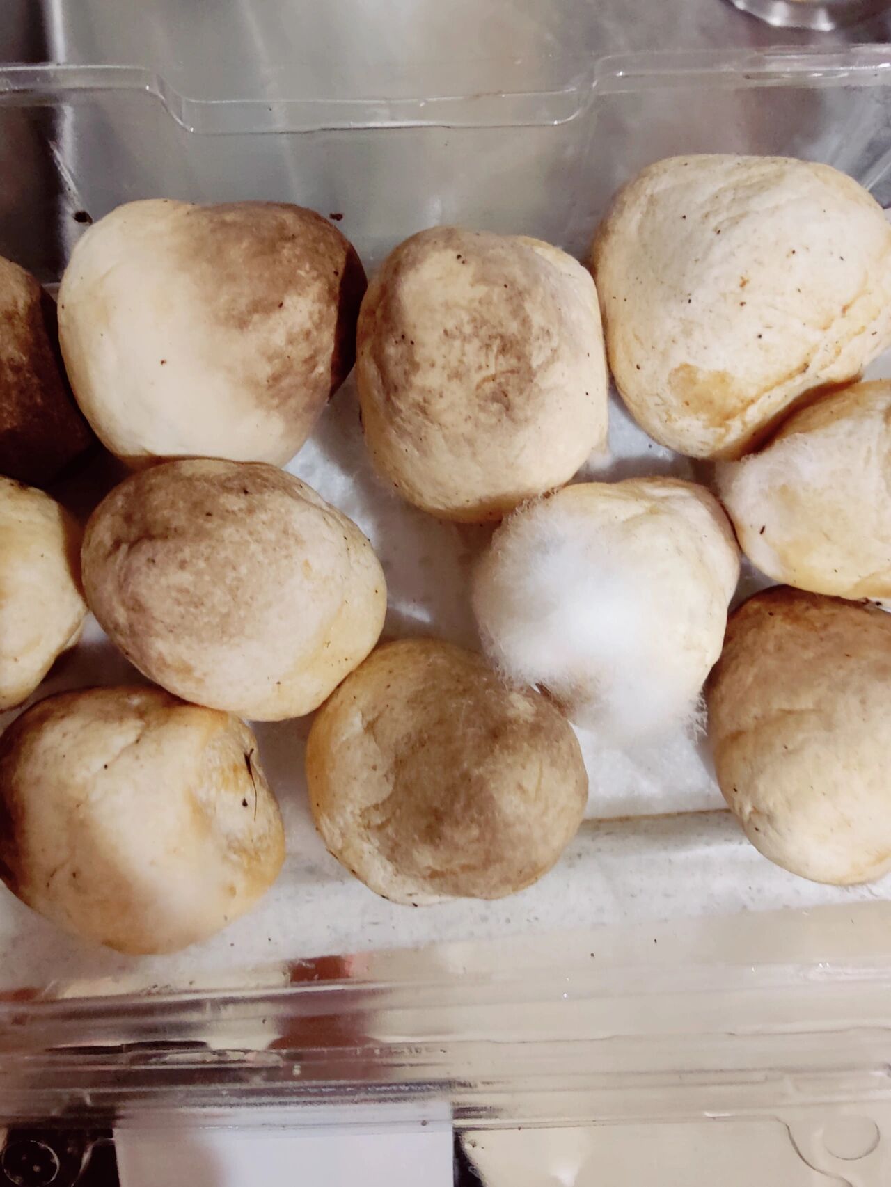 草菇长白色毛还能吃吗