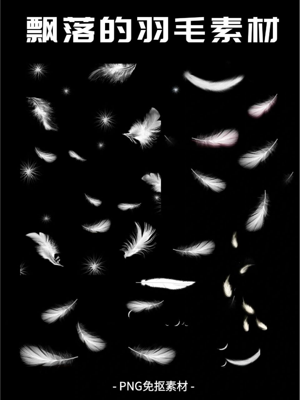 93 今日分享 97白色【羽毛】png免抠素材60156015 - 前几