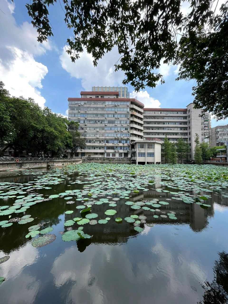 广东第二师范学院(海珠校区) 今天拍视频到半忘记拍照片了,这个学校离