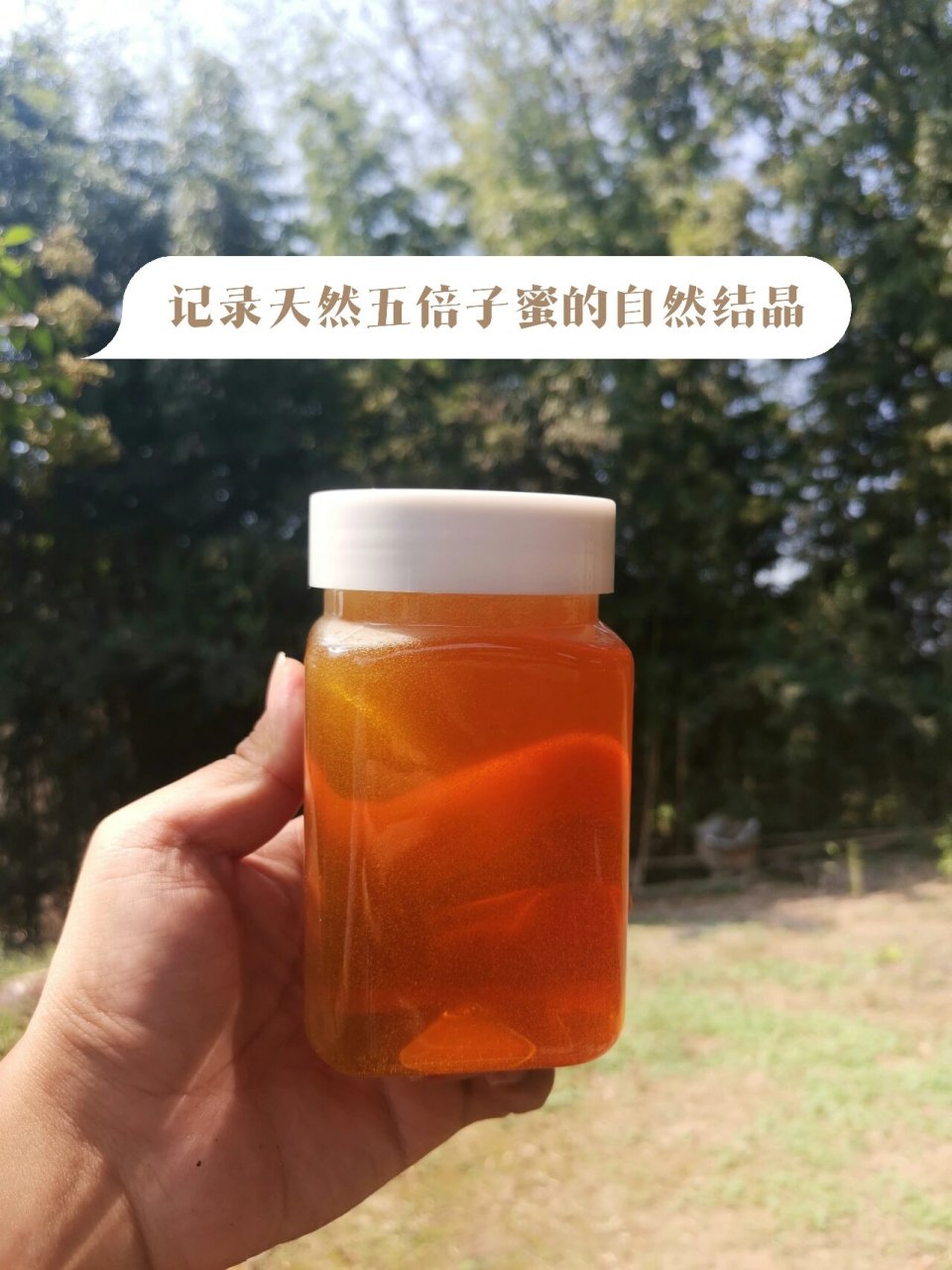 结晶的蜂蜜是什么口感(结晶的蜂蜜一定是真蜂蜜吗)