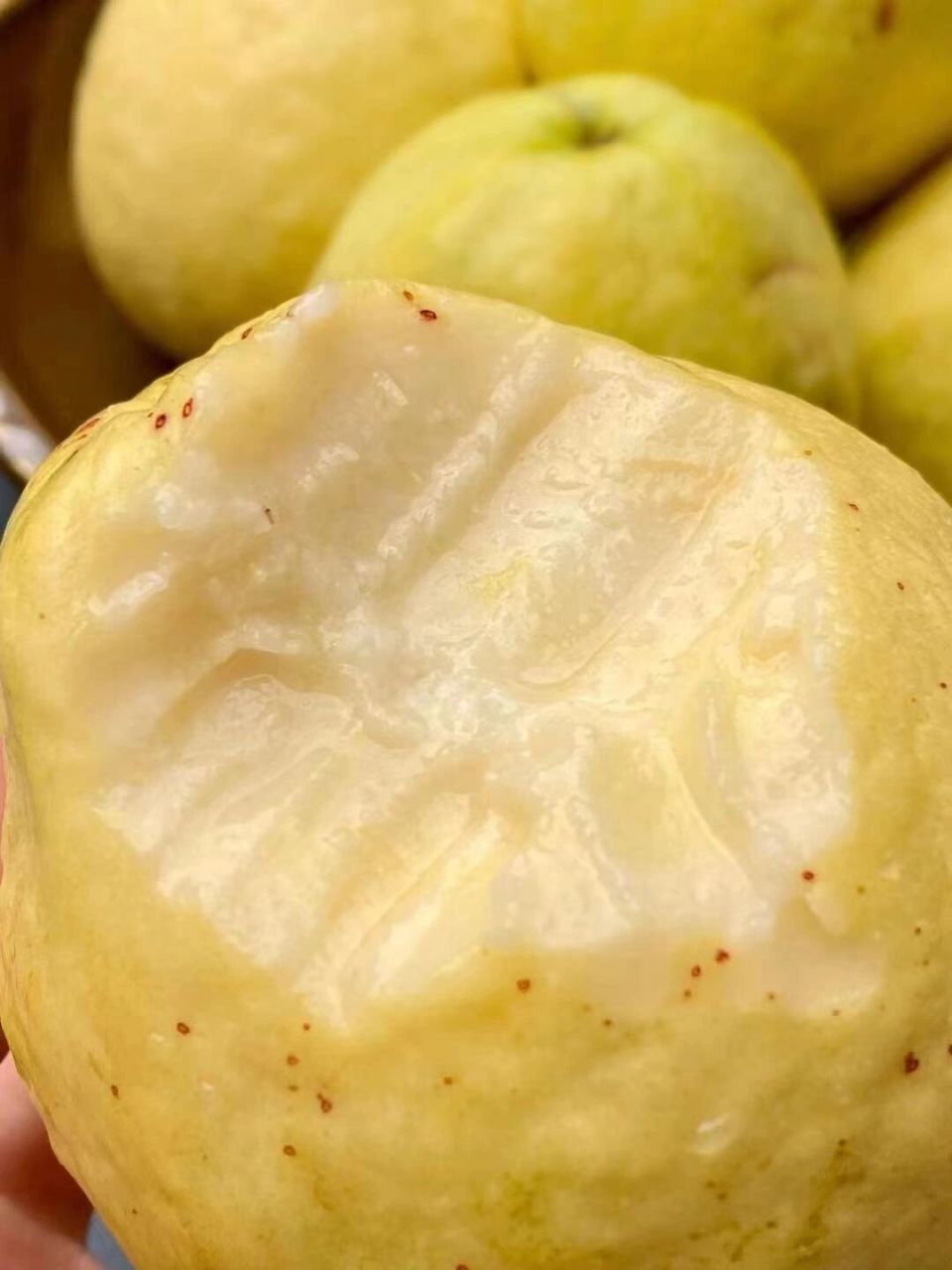 香气扑鼻,酸甜浓郁的芭乐味道,软糯如奶油般的口感,这就是黄金奶油