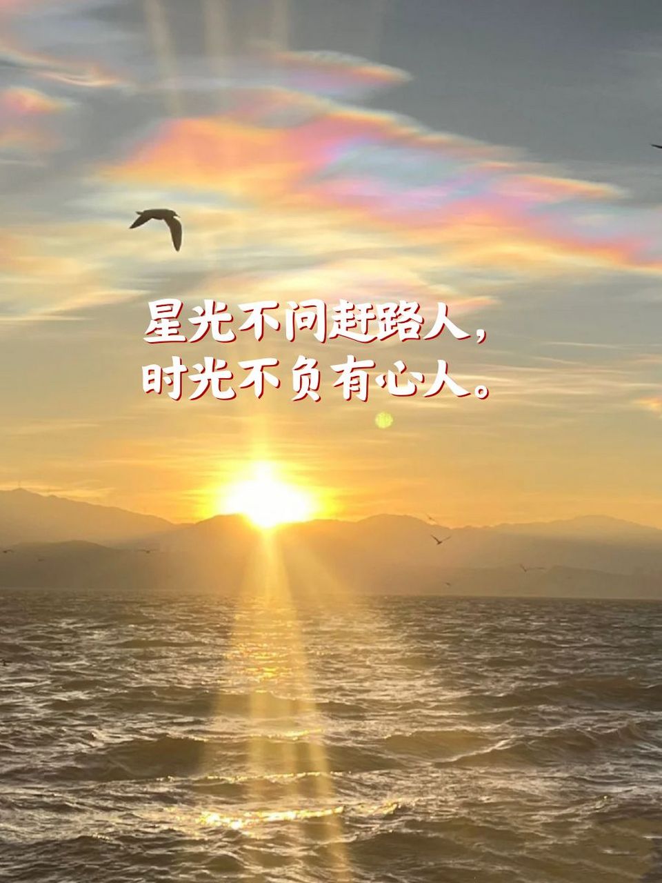 10一20字精美句子 星光不问赶路人,时光不负有心人.