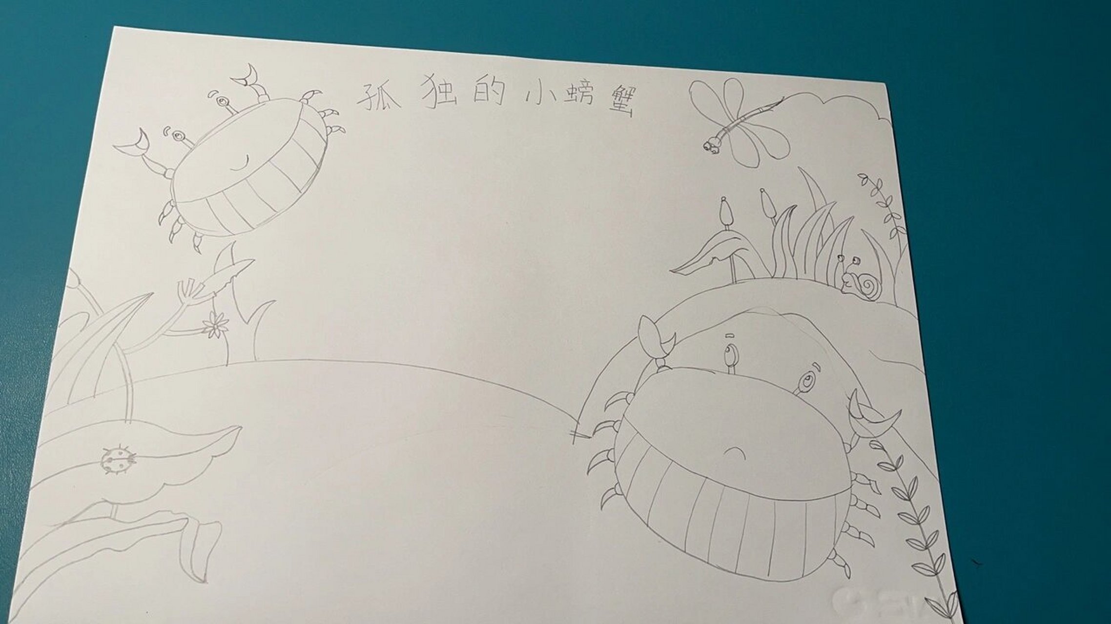 一升二暑假作业手抄报"孤独的小螃蟹" 一升二暑假作业,"孤独的小螃蟹"