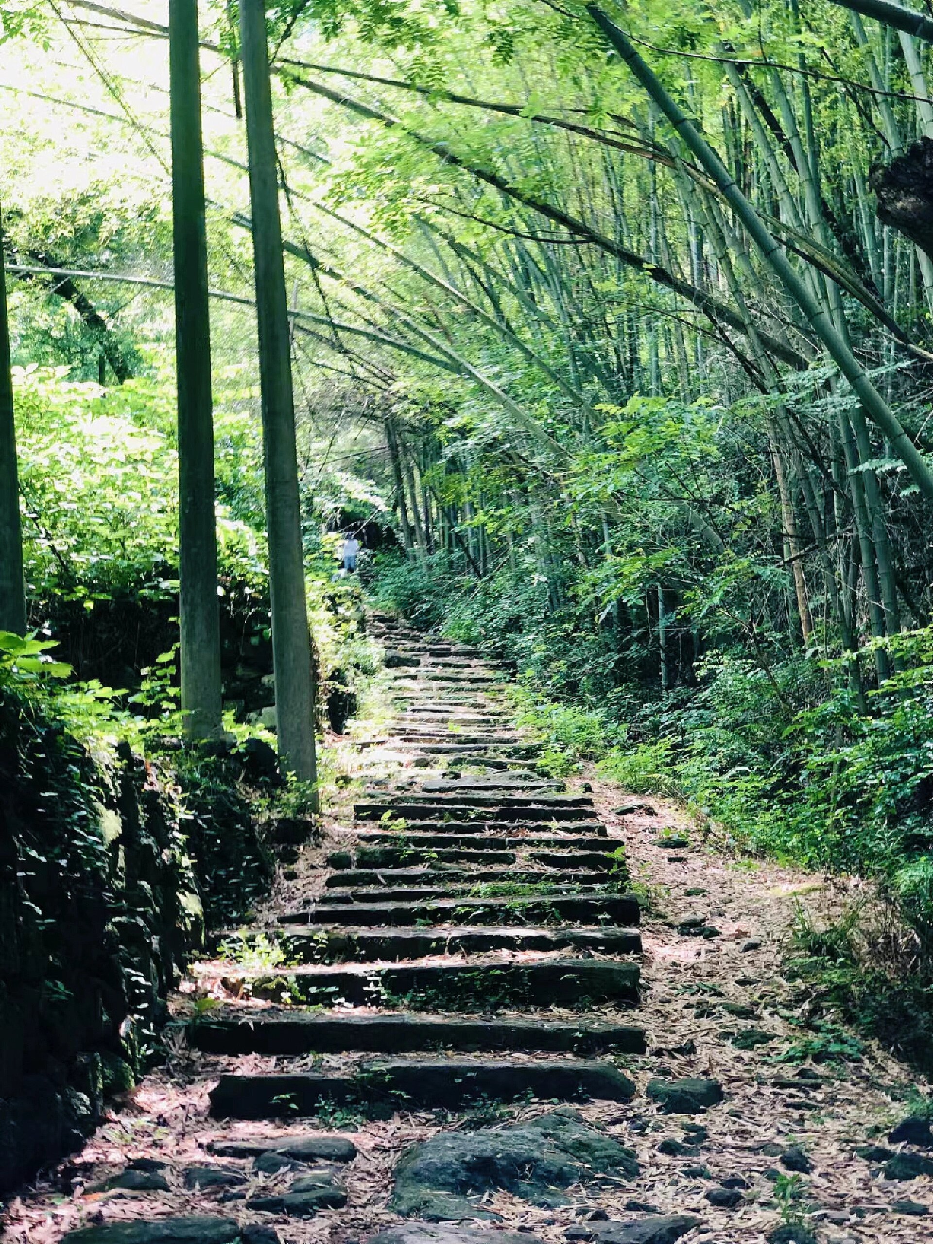 绍兴青板古道图片