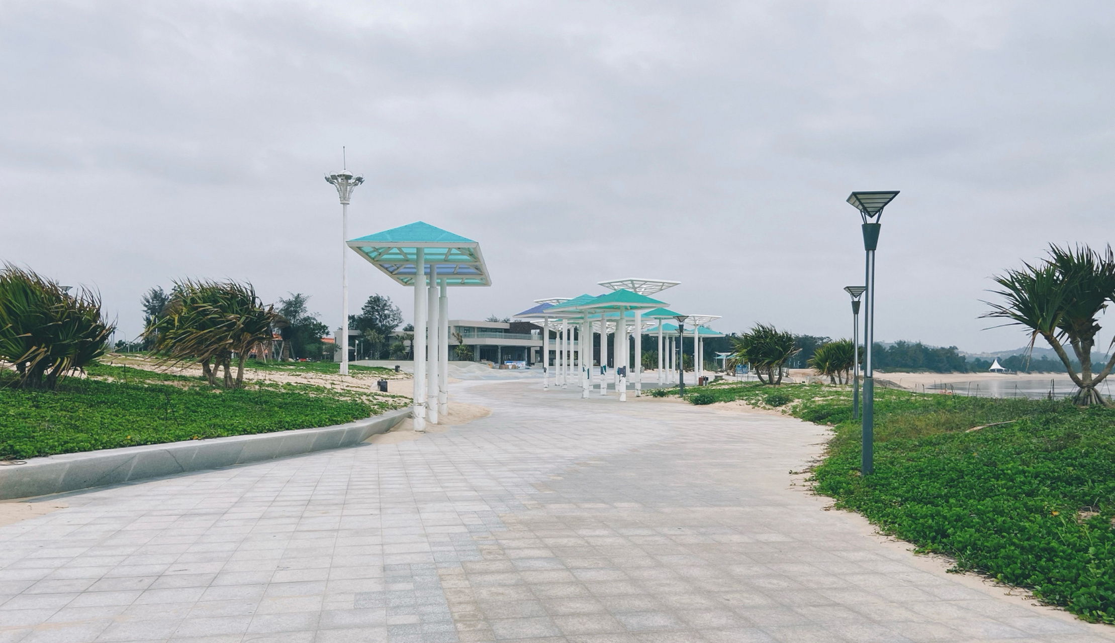 石狮红塔湾滨海公园 特色沙生植物 细腻的沙滩 绵延的海岸线 挺有意思