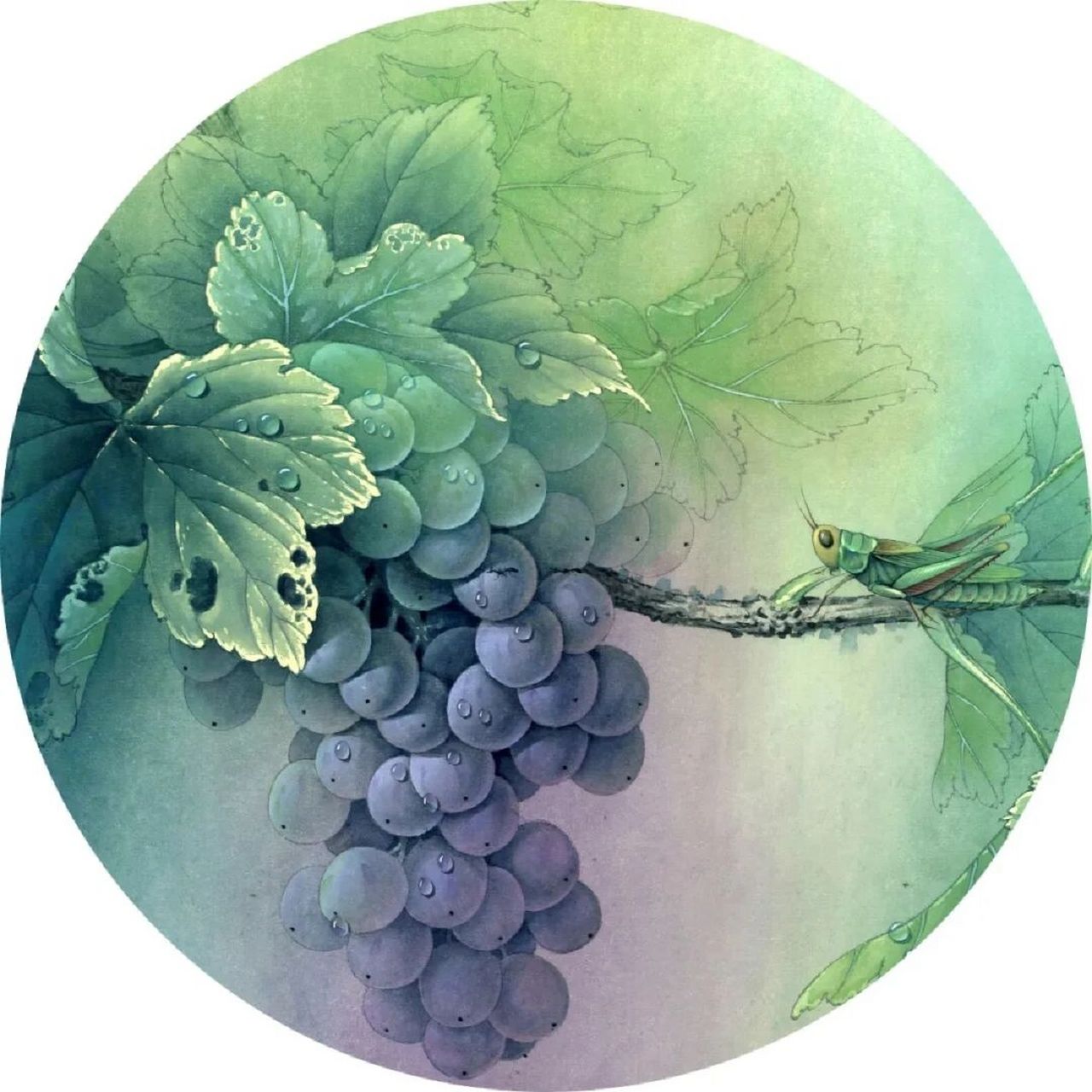 工笔画步骤分享《蝗虫葡萄图》二 4.