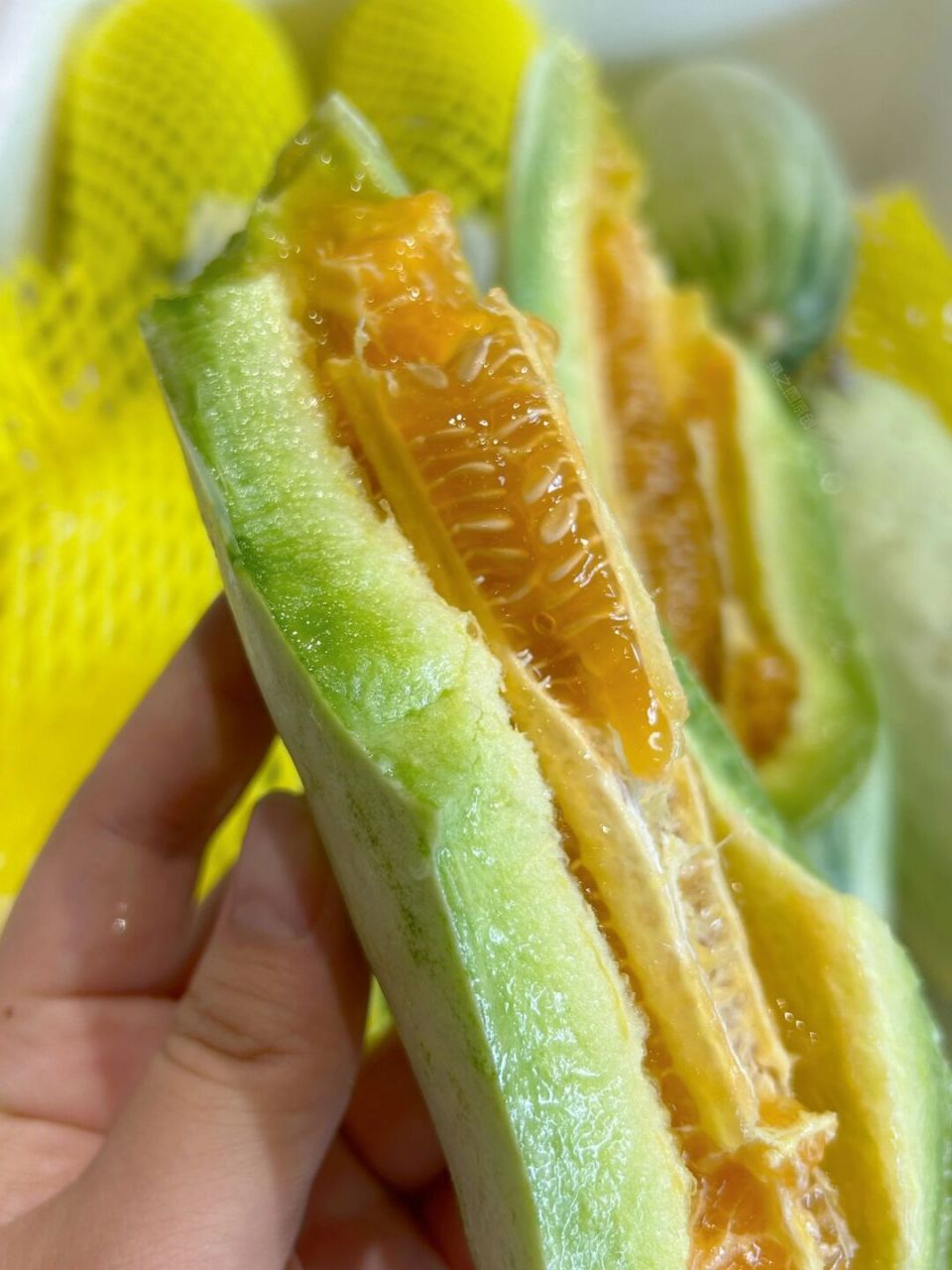 羊角蜜瓜 95皮薄肉厚,脆嫩多汁,甜嫩无渣,果肉脆嫩到轻掰即断,落地