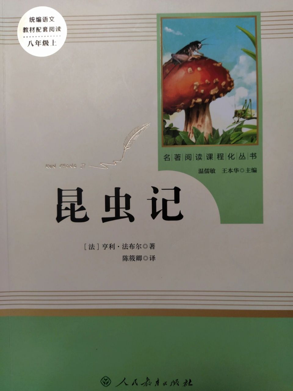 《米诺多蒂菲》上 我也想更《昆虫记》,可我真的很忙