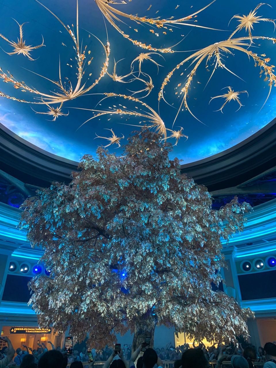 澳门永利发财树——财富与繁荣的象征 澳门永利发财树,是澳门永利酒店