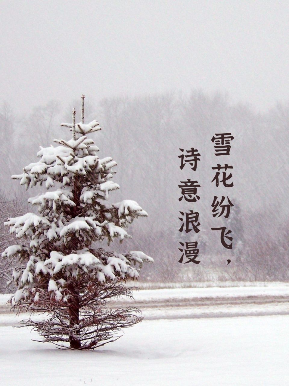 冰雪美景唯美说说图片