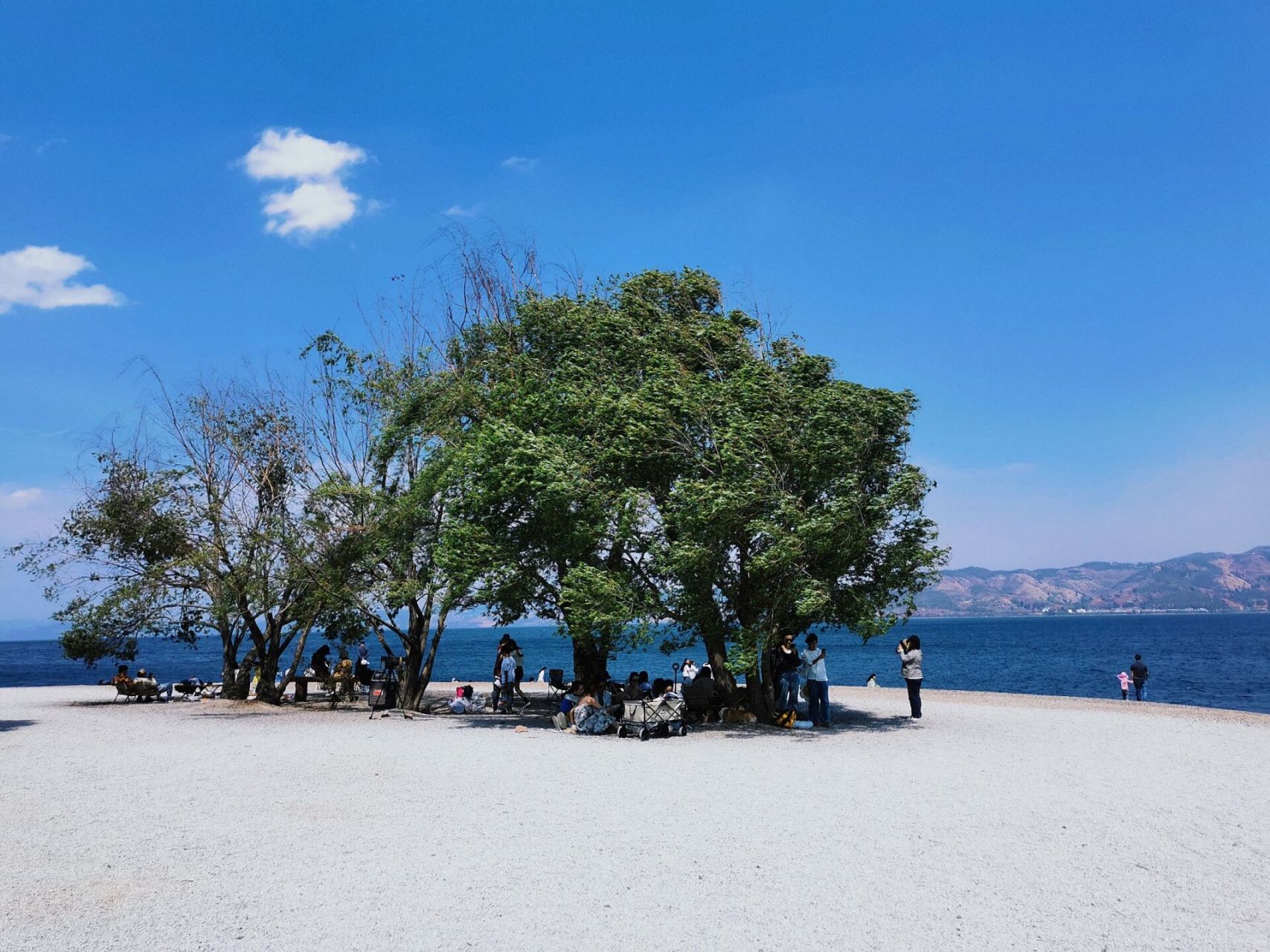 抚仙湖环线的新晋网红打卡地,隶属于云南省玉溪市江川区江城镇湾子沟