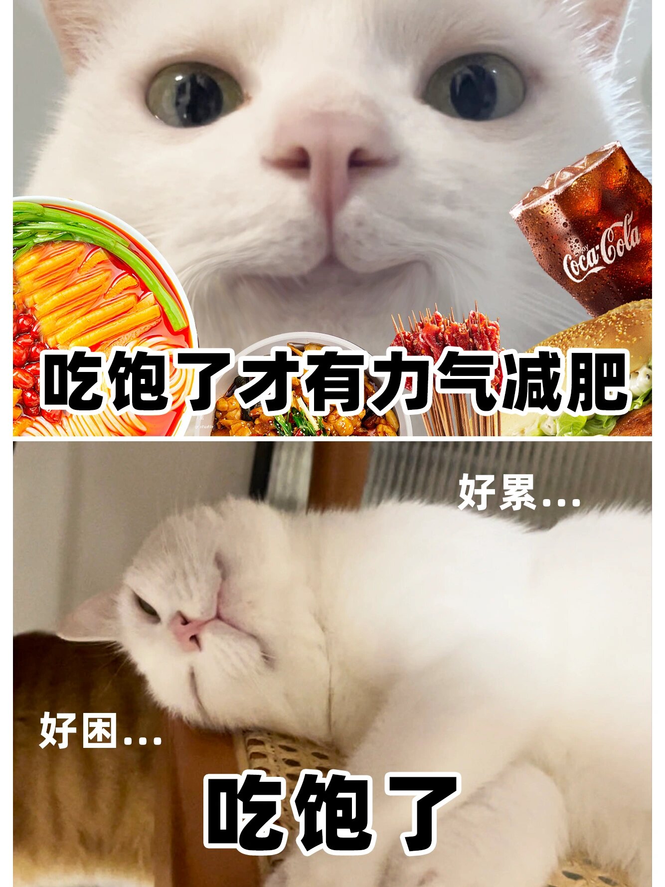 吃饱了才有力气 日常躺吃 是不是在座的你#日常碎片plog# #猫咪表情包