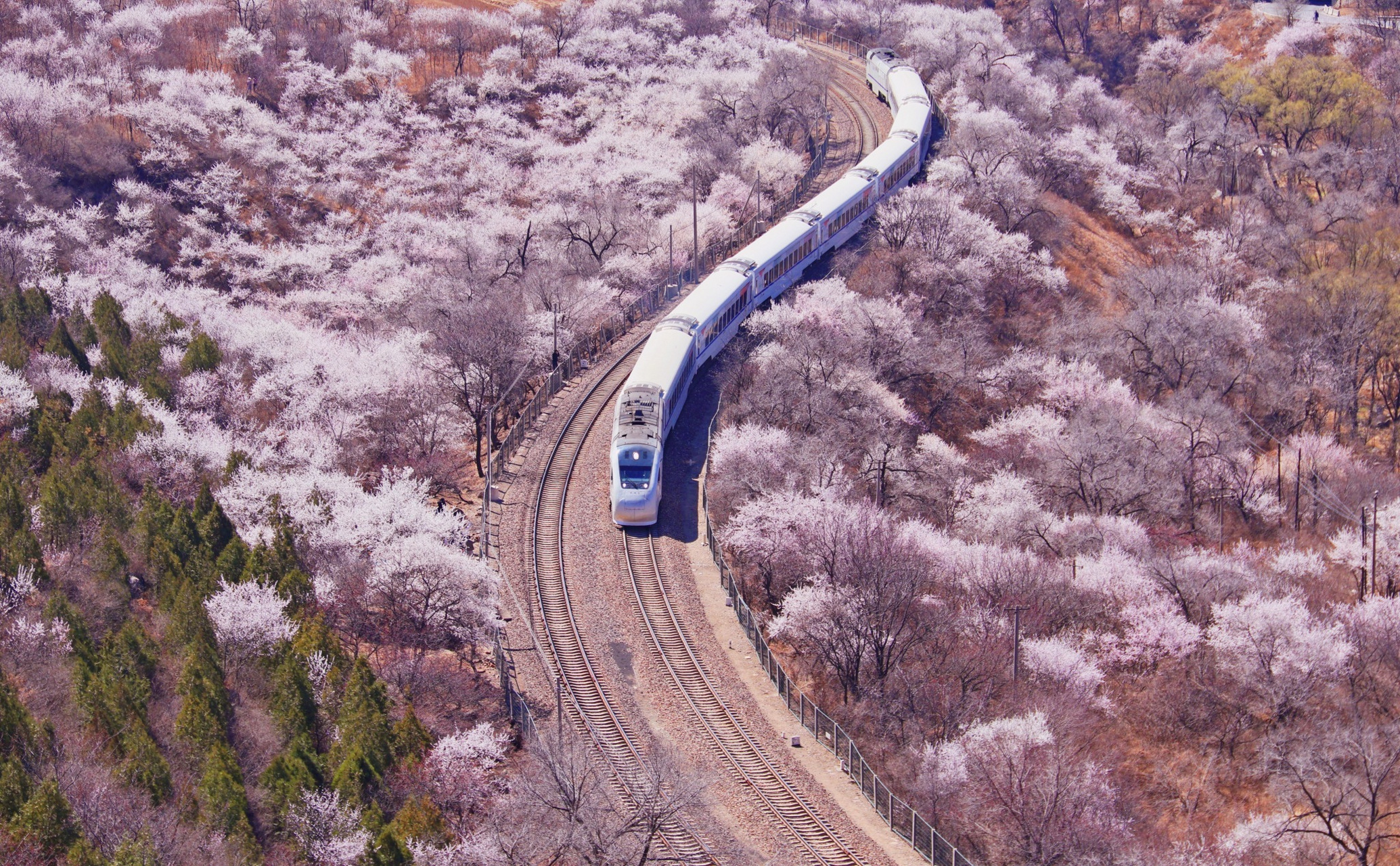 06#发现最美铁路#92列车飞驰过广袤的祖国大地,窗外风景像一幅幅