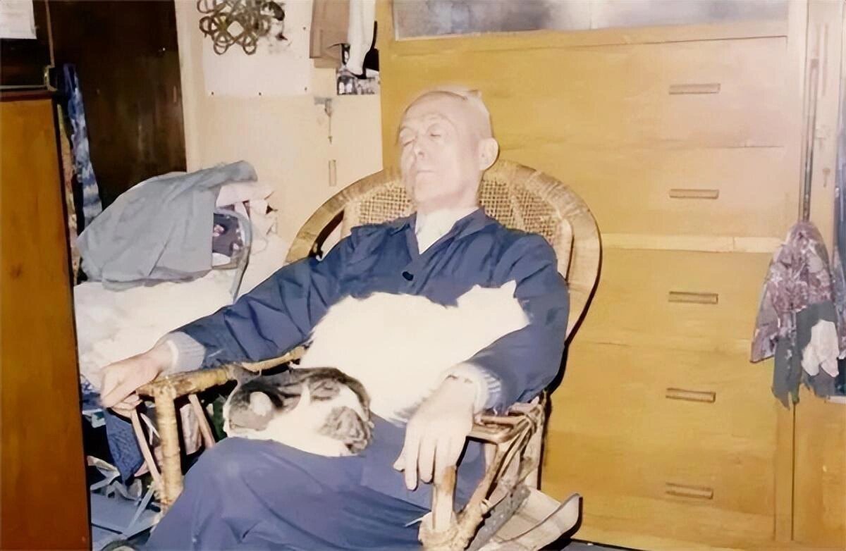 季羡林《老猫》(节选) 季羡林先生的第一只猫"虎子"是狸花猫,活了十四