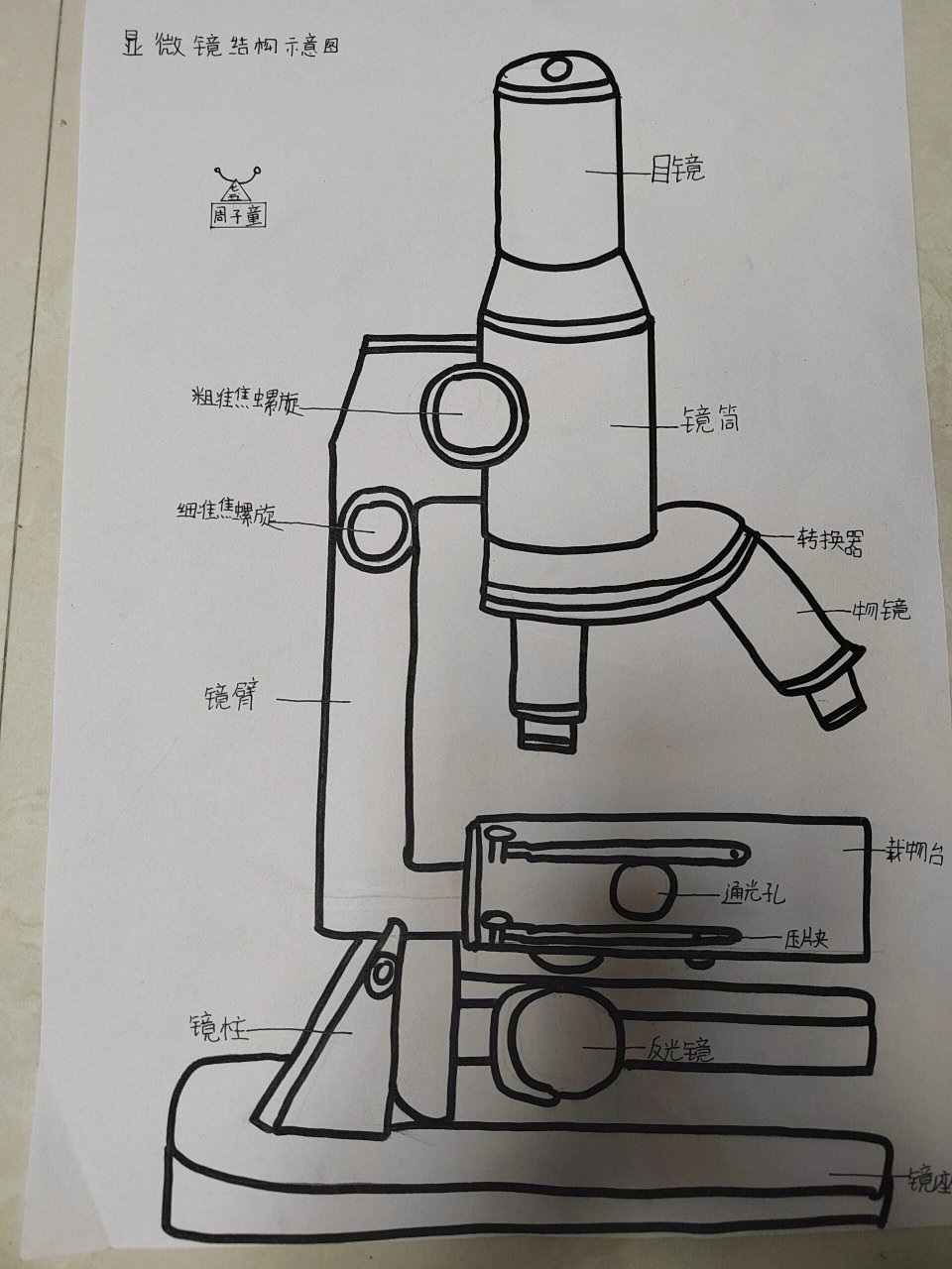 简笔画显微镜及名称图片