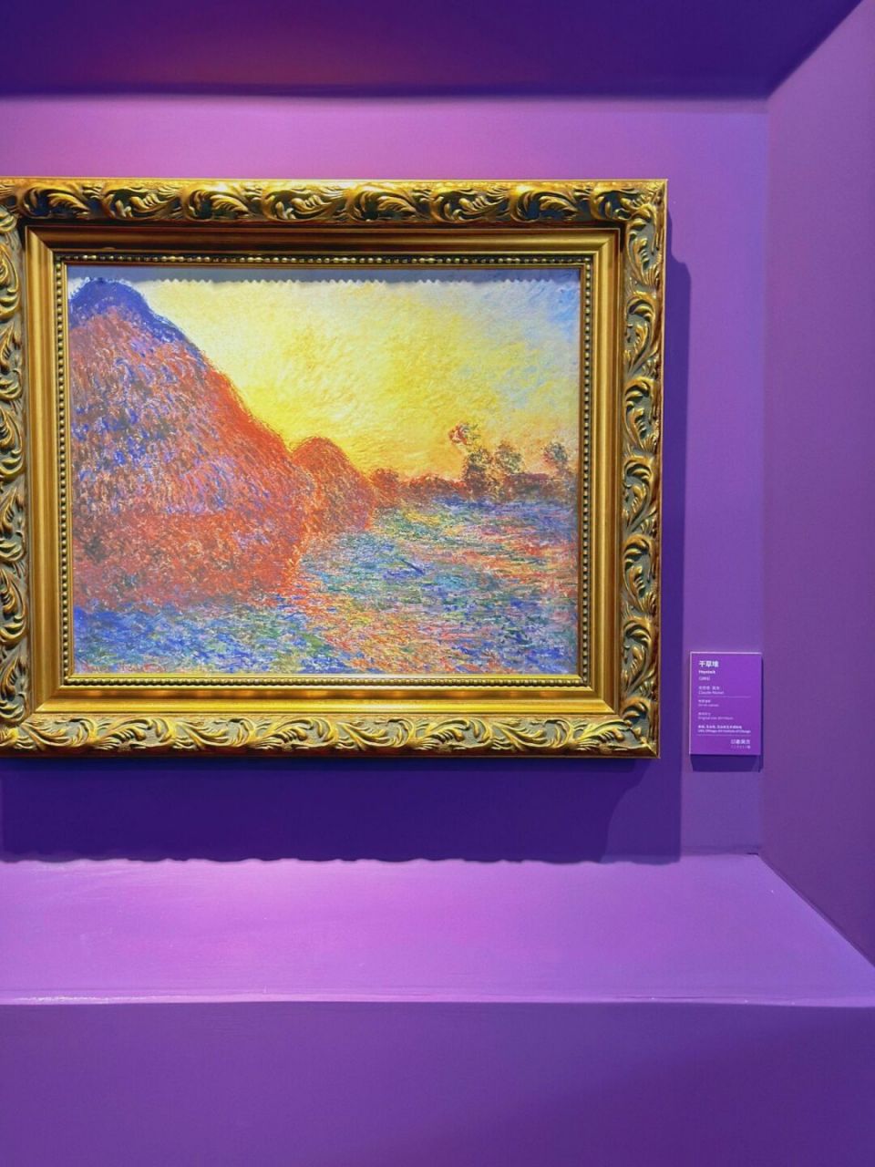 天津首展,约上朋友一起来看莫奈画展吧!