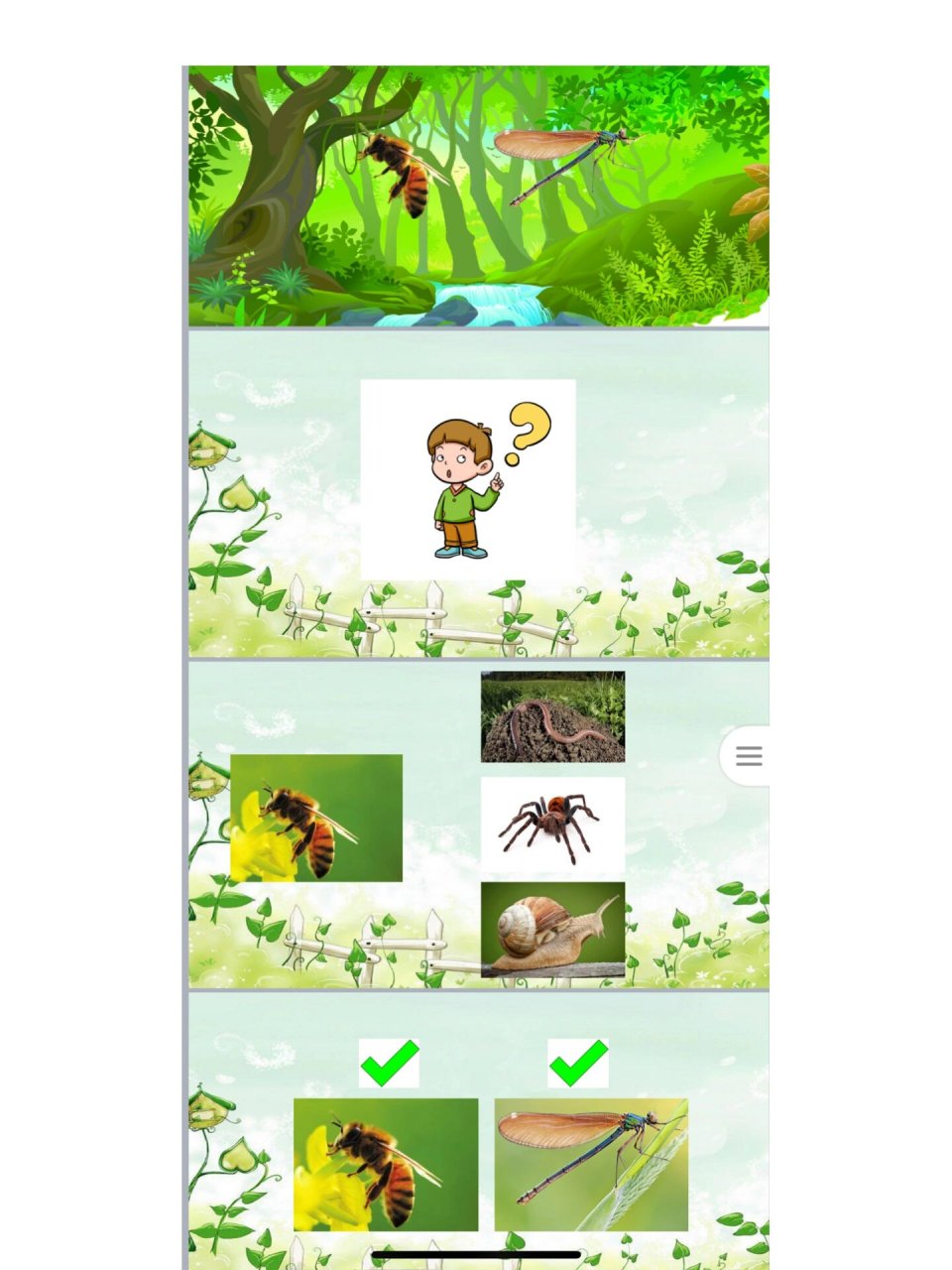 幼儿园优质科学活动 《认识昆虫》教案 课件 ppt