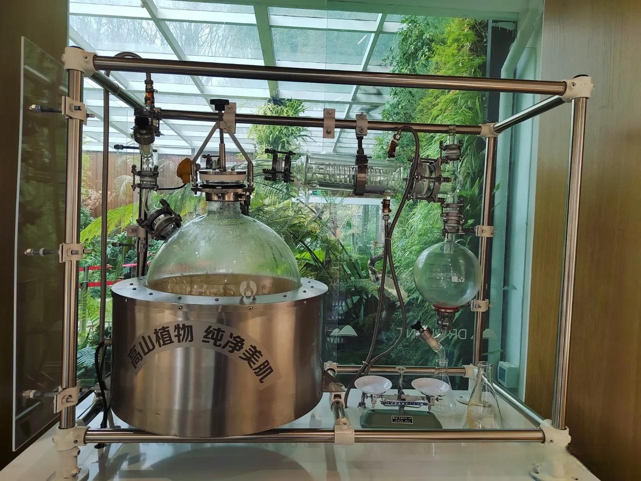 一句话形容暇吞崛 水蒸气蒸馏法精油 纯露 提取 水蒸馏水蒸气蒸馏