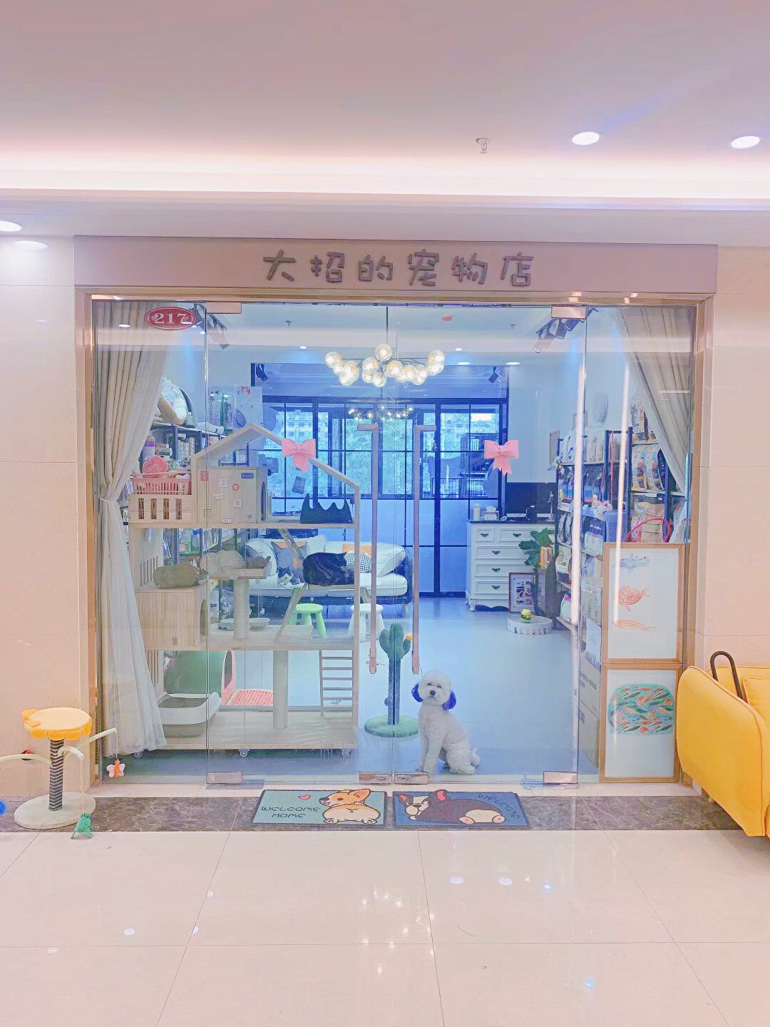 张店宠物寄养,猫咪寄养,狗狗寄养 大招的宠物寄养乐园 大招的宠物寄养
