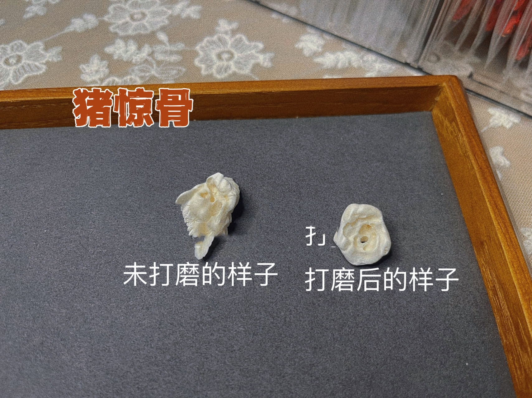 猪惊骨 猪耳内的听骨 防惊吓 压惊 神奇的猪惊骨 宝宝睡觉总是一惊一