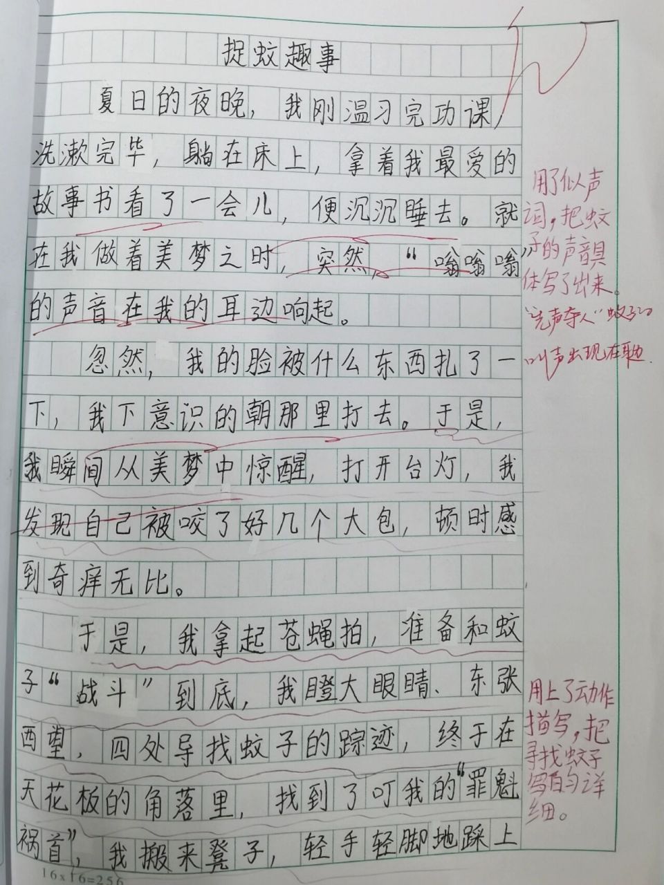 【四上语文作文】生活万花筒——捉蚊趣事 四上五单元习作:生活万花筒