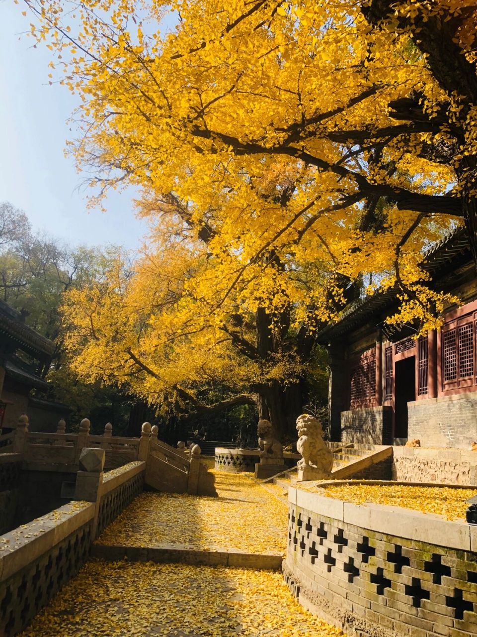 深秋,总得去一趟山西太原的《晋祠》吧?