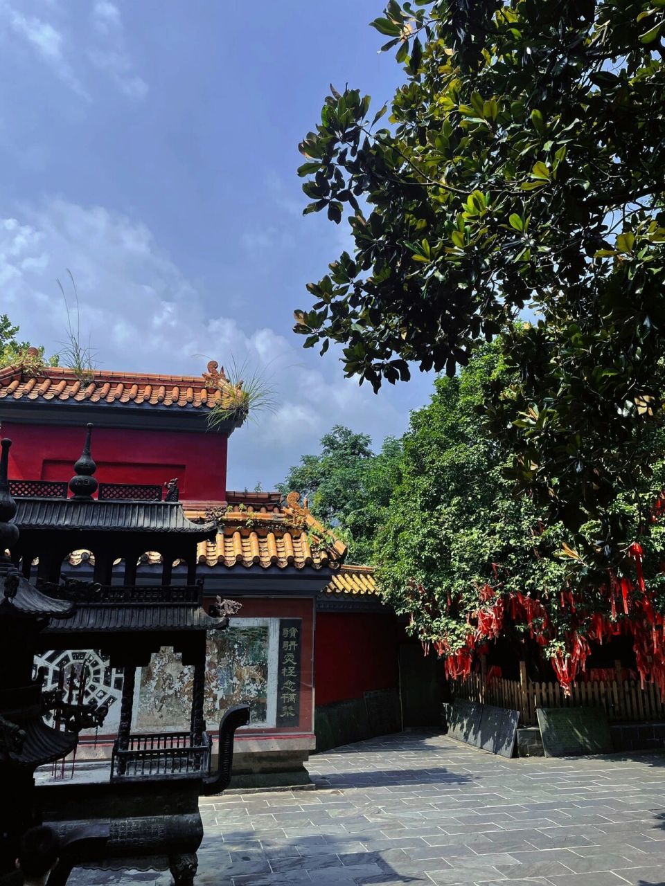 樟树阁皂山|清江碧嶂 道家福地 古树参天 在樟树市东南角,有一座海拔