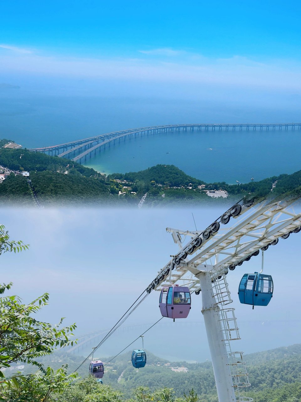 大连莲花山观景台77白云山梅花鹿 早餐篇97吃了不二心包子,味道