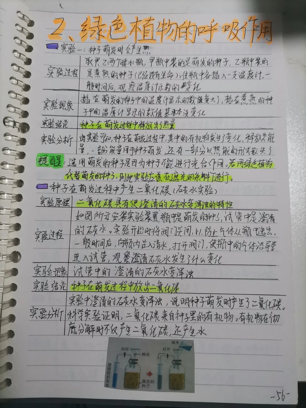 初中生物3.5.2绿色植物的呼吸作用 课堂笔记