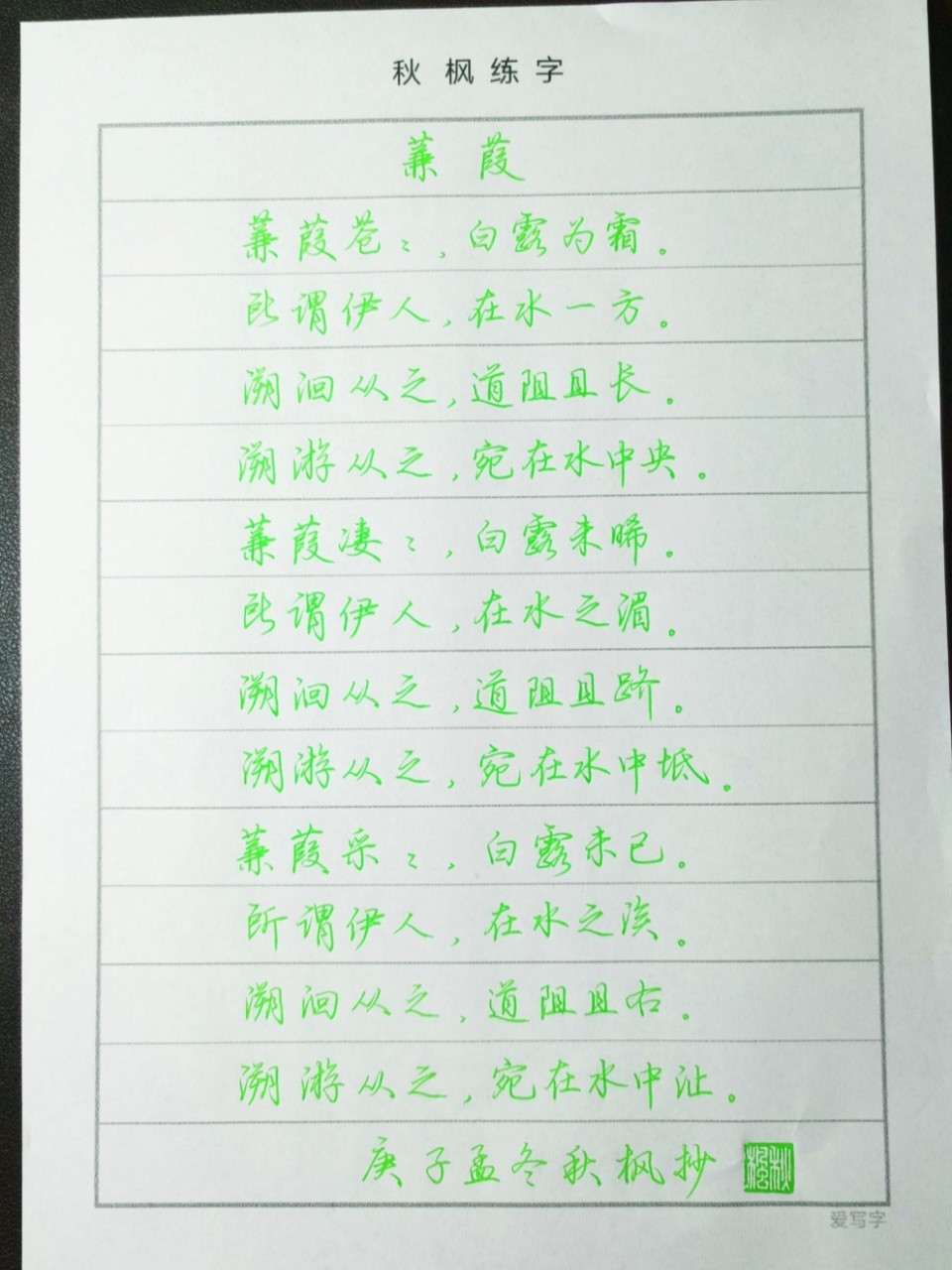 荆霄鹏行书 所谓伊人,在水一方. #写字是一种生活