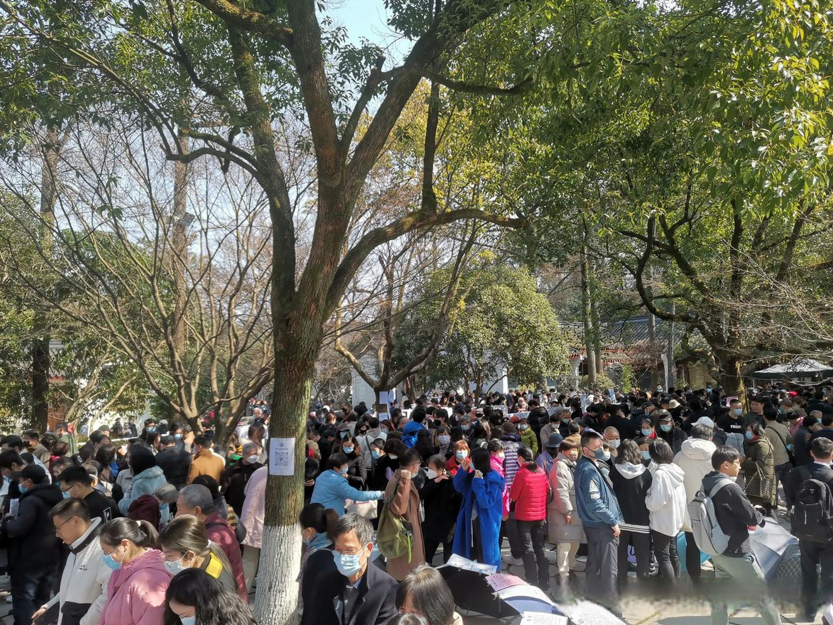 【万松书院大型相亲会场】杭州这场面实在是太震撼了,太多人了,你们要