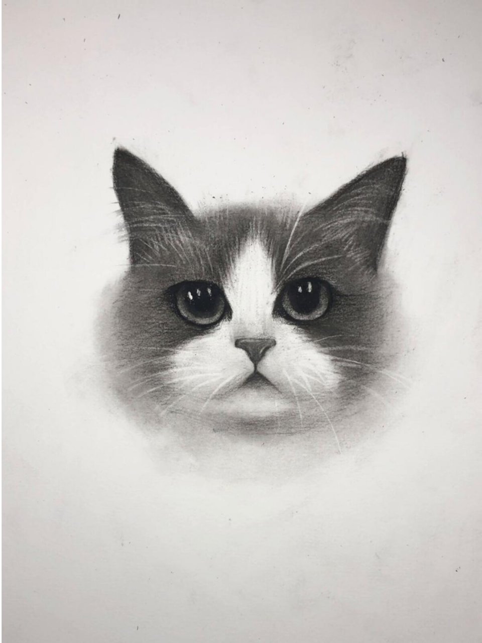 小猫的素描眼睛怎么画图片