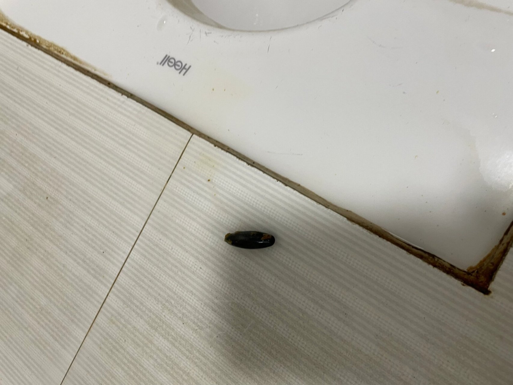 18号误吸,10分钟赶去湖北省妇幼就医,医生说回去自然排便,72小时未排