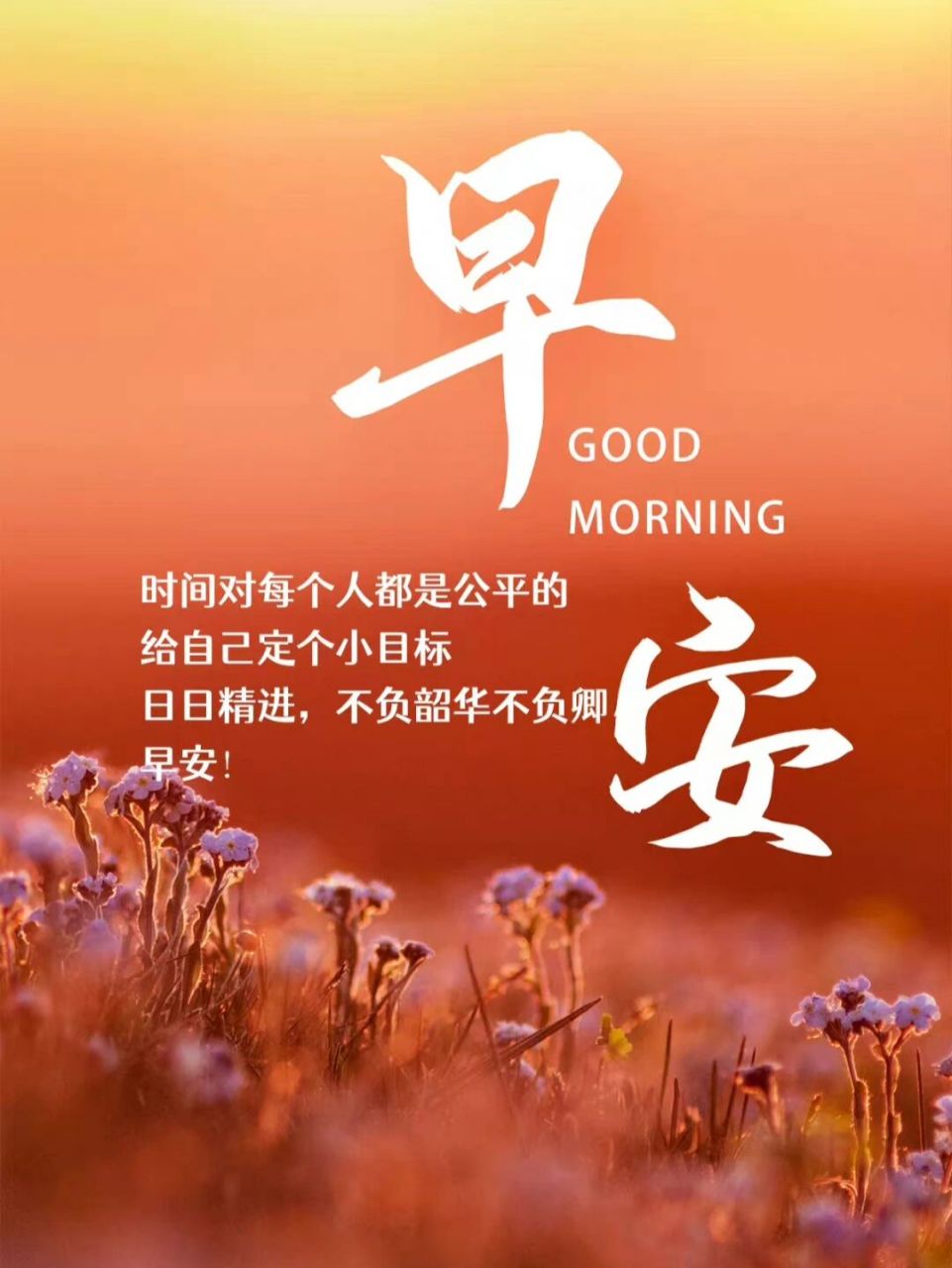 7966good morning…… 早安文案